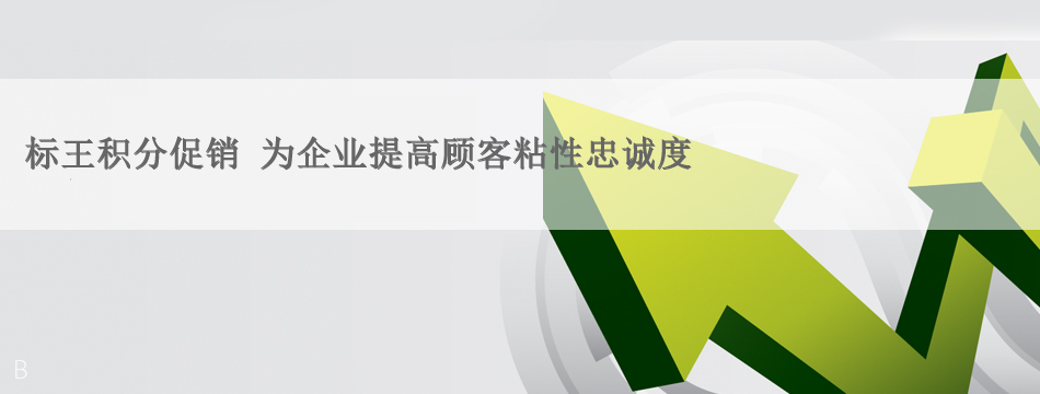 标王积分促销 提高会员粘性，增强老顾客的忠诚度，吸引高质量会员 开展精准营销，提升营销效能